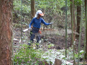 DSCN0478.JPG