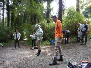 DSCN0517.JPG