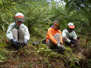 DSCN0531.JPG