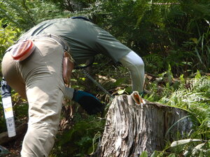 DSCN0550.JPG