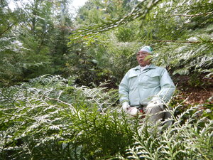 DSCN0552.JPG