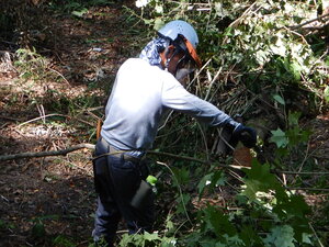DSCN0802.JPG