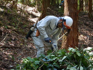 DSCN0806.JPG