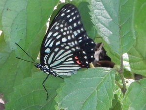 DSCN0830.JPG