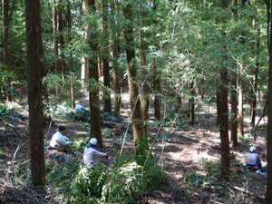 DSCN0839.JPG
