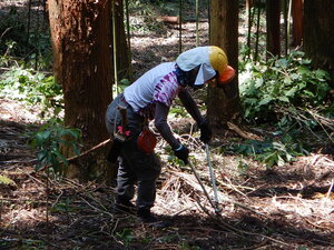 DSCN0840.JPG