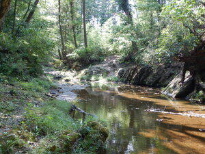 DSCN0864.JPG