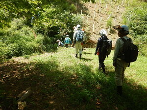 DSCN0884.JPG
