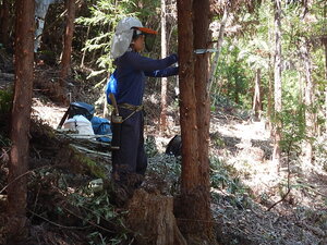 DSCN0897.JPG