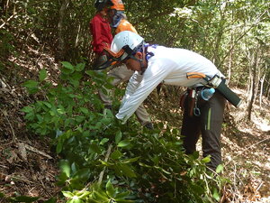 DSCN0913.JPG