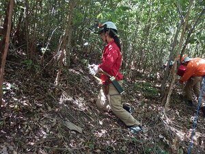 DSCN0916.JPG