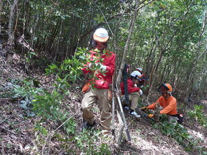 DSCN0922.JPG