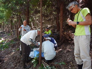 DSCN0933.JPG