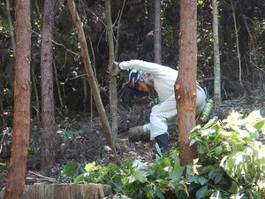 DSCN0937.JPG