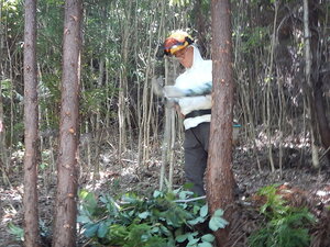 DSCN0942.JPG