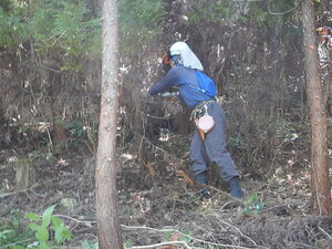 DSCN0944.JPG