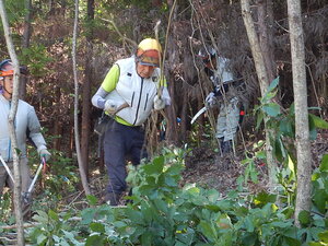 DSCN0952.JPG