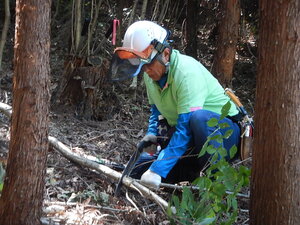 DSCN0955.JPG