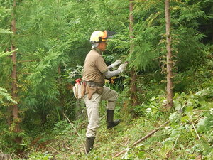 DSCN0996.JPG