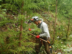 DSCN1004.JPG