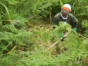 DSCN1035.JPG