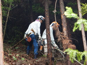 DSCN1083.JPG
