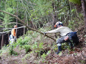 DSCN1092.JPG