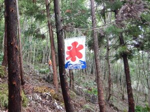 DSCN1097_02.JPG