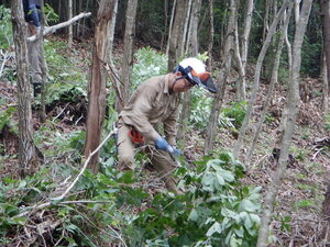 DSCN1098.JPG