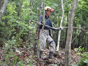 DSCN1106.JPG