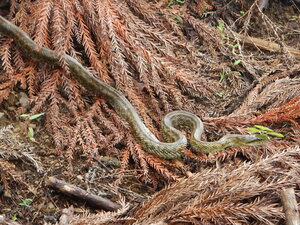 DSCN1124.JPG