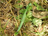 DSCN1133.JPG