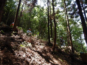 DSCN1135.JPG