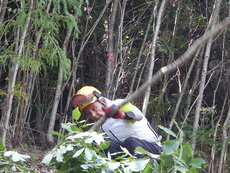 DSCN1147.JPG