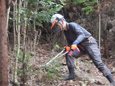DSCN1217.JPG