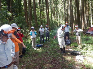 DSCN1378.JPG