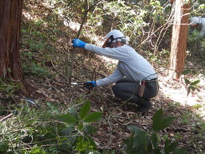 DSCN1391.JPG