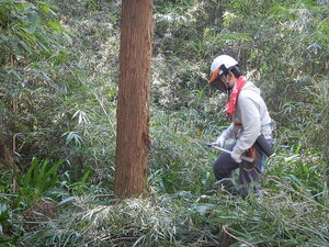 DSCN1395.JPG