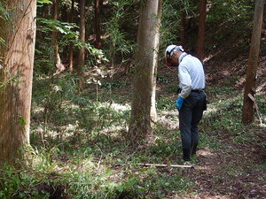 DSCN1408.JPG