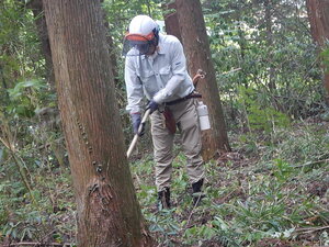 DSCN1441.JPG