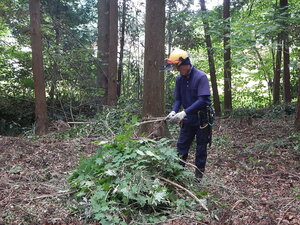 DSCN1473.JPG