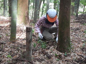 DSCN1477.JPG