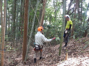 DSCN1482.JPG