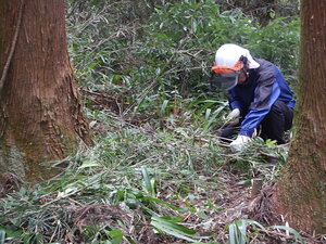 DSCN1520.JPG
