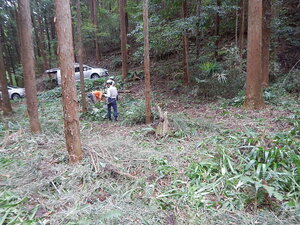 DSCN1546.JPG