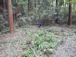 DSCN1562.JPG