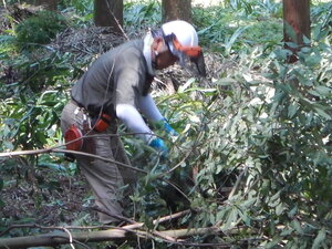 DSCN1598.JPG