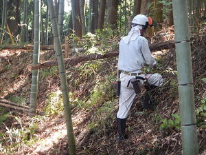 DSCN1619.JPG