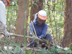 DSCN1621.JPG