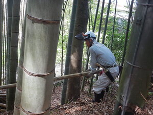 DSCN1631.JPG